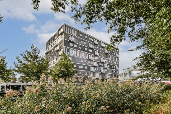 Anna Blamansingel 25