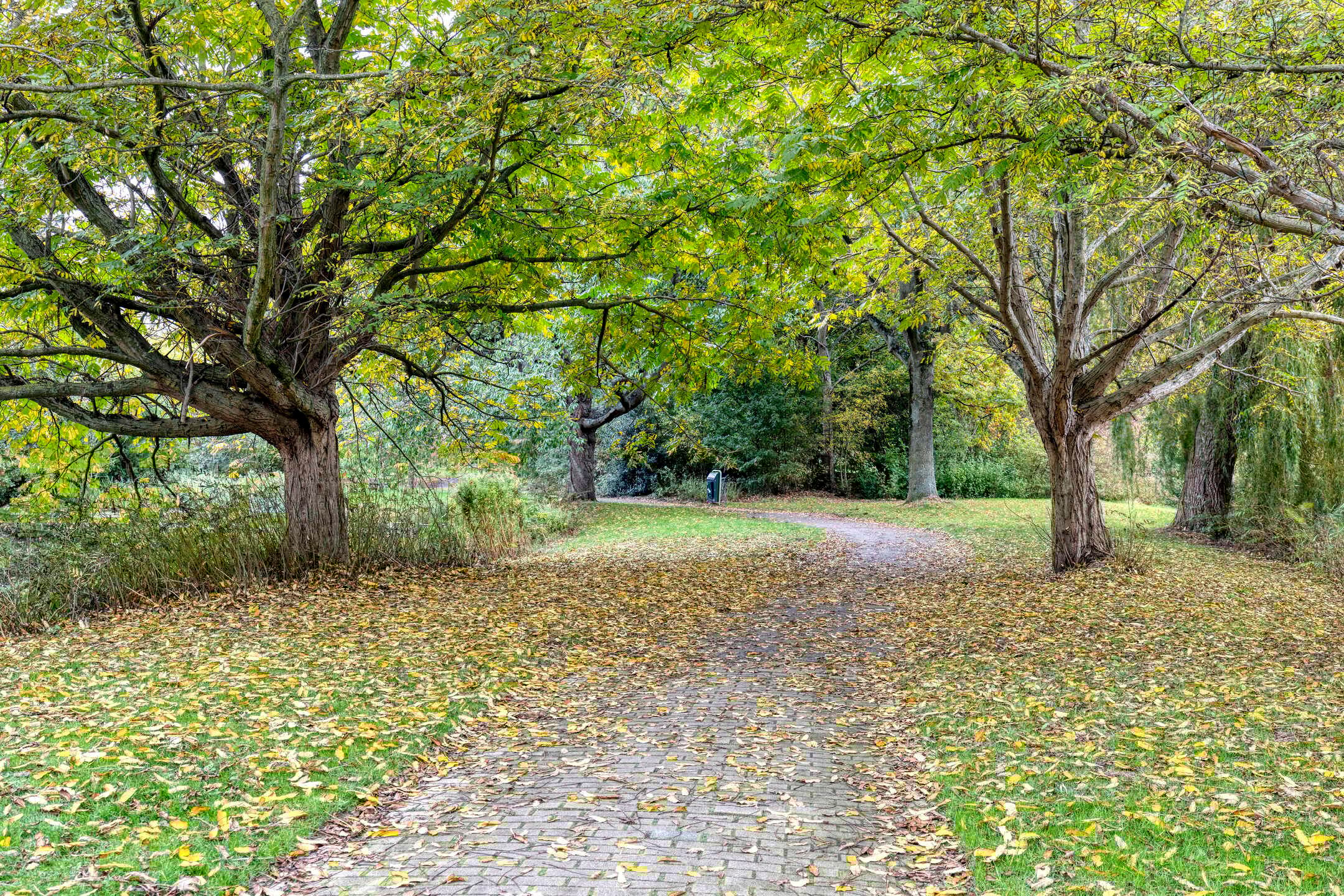 Foto 39 van Laan van Berendrecht 268