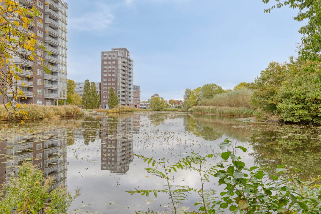 Foto 1 van Laan van Berendrecht 268