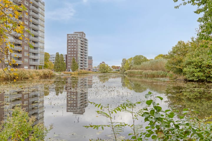 Laan van Berendrecht 268