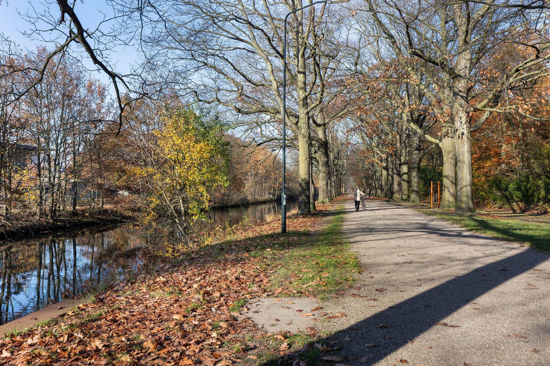 Foto 33 van Rietdekkersdreef 916