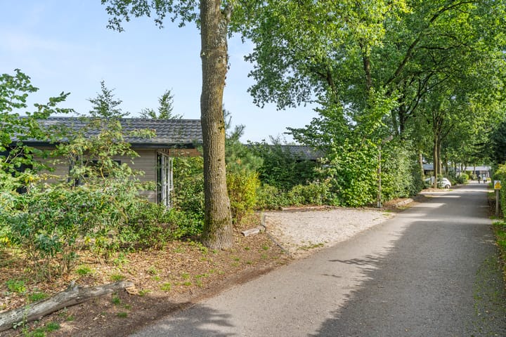 Photo 22 of Arnhemseweg 100-809