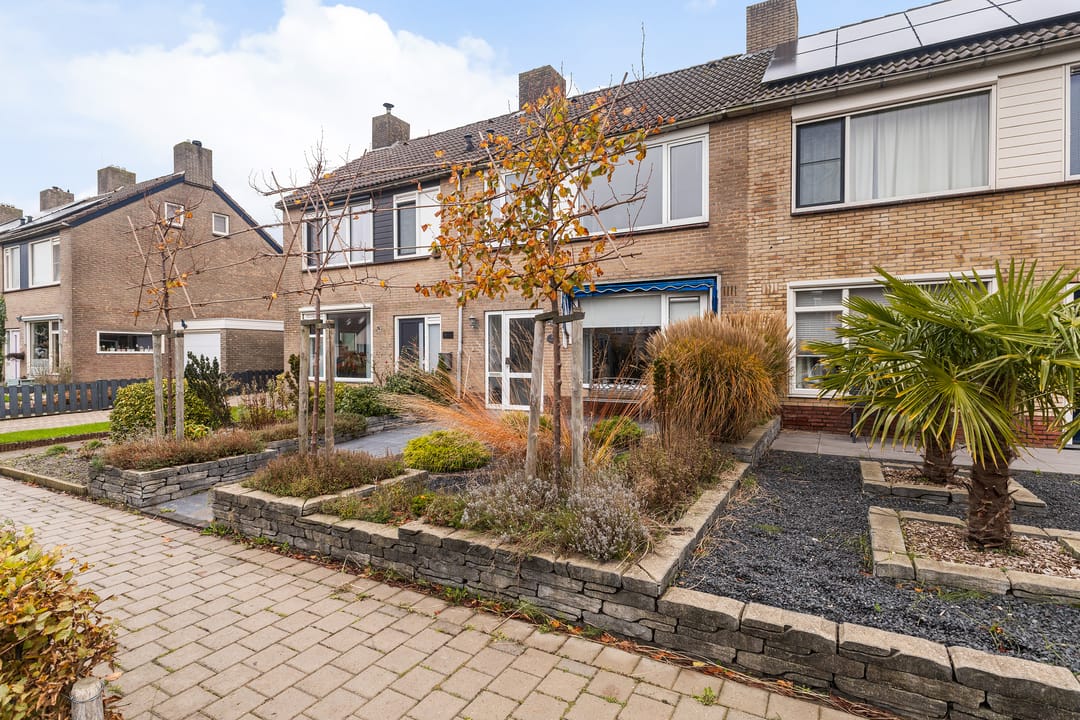 Foto 32 van Aysmastins 11