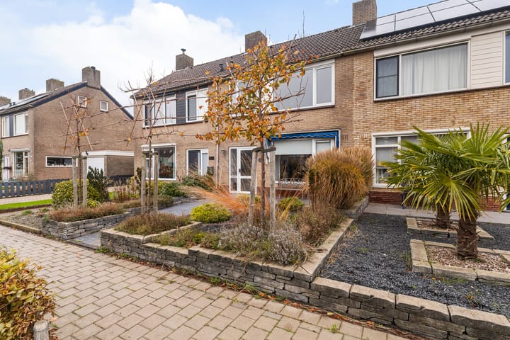 Foto 32 van Aysmastins 11