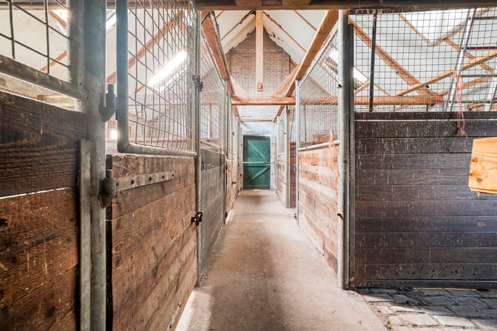 Photo 4 of Kappeweg 14