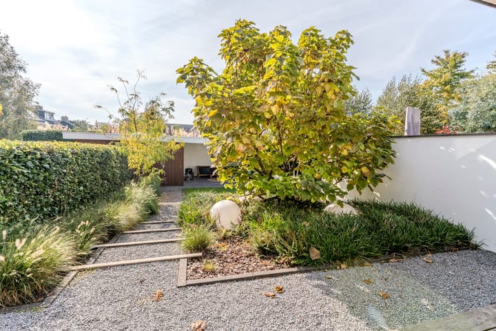 Foto 55 van Dr. Boomstraat 10