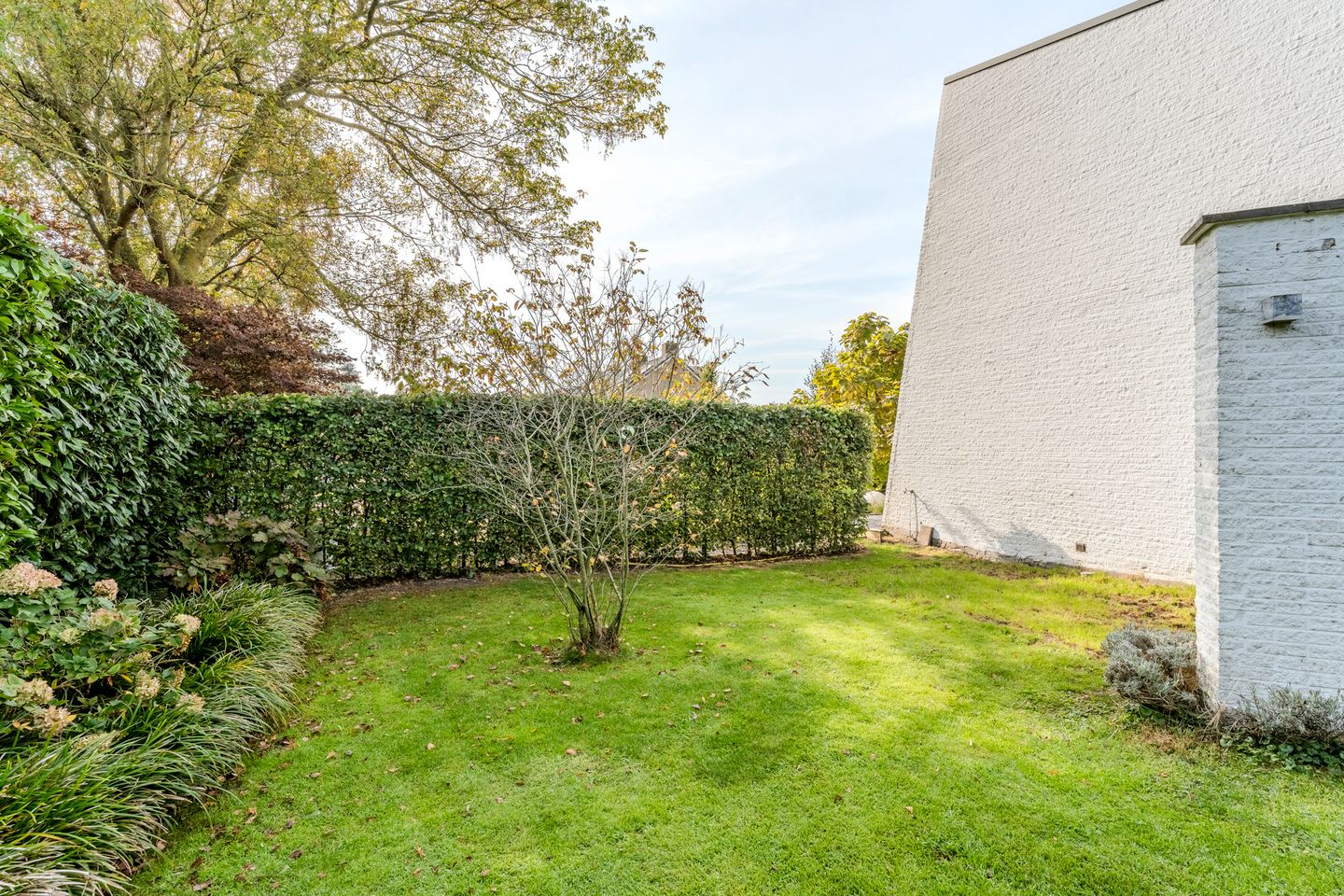 Foto 65 van Dr. Boomstraat 10