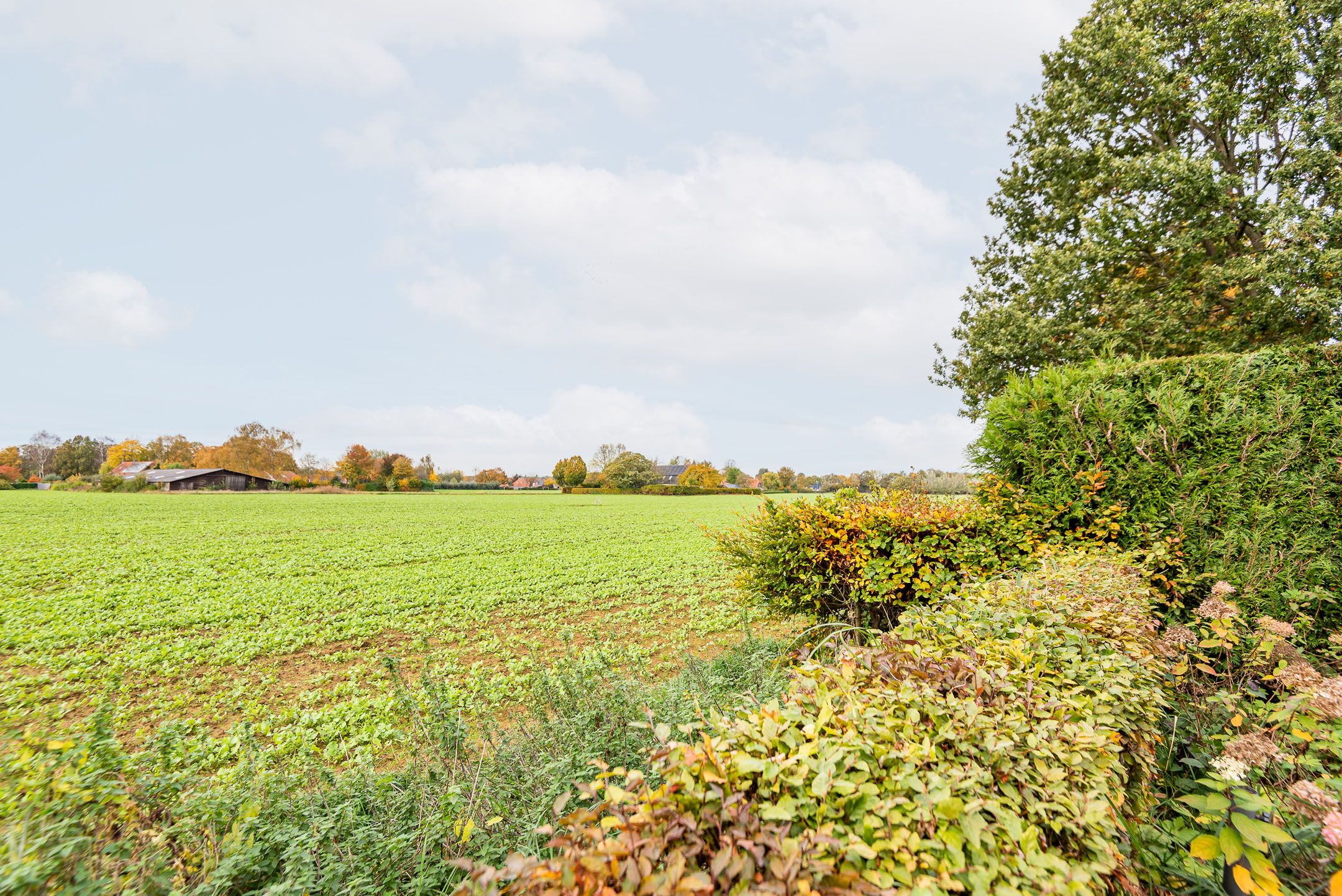 Photo 48 of Bosmanslaan 29