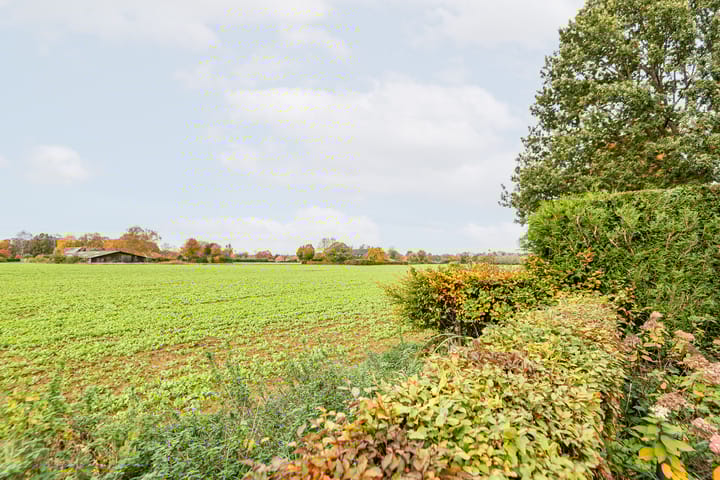 Foto 48 van Bosmanslaan 29