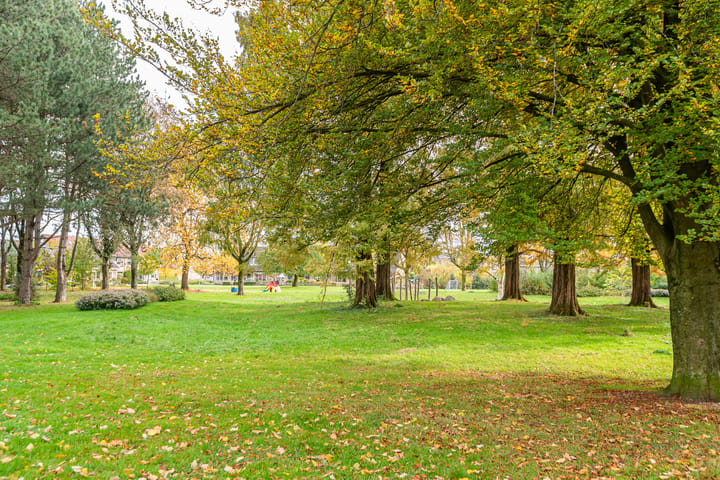 Foto 53 van Bosmanslaan 29