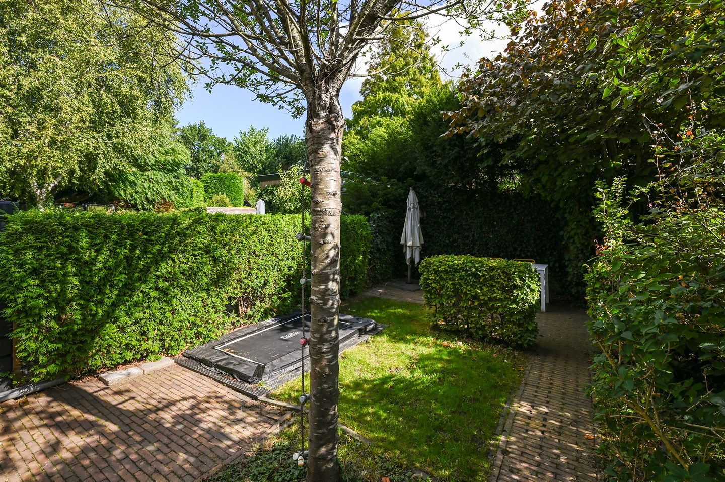 Foto 29 van Damsigtstraat 52