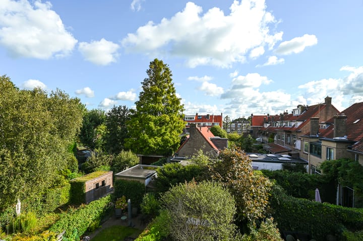 Foto 53 van Damsigtstraat 52