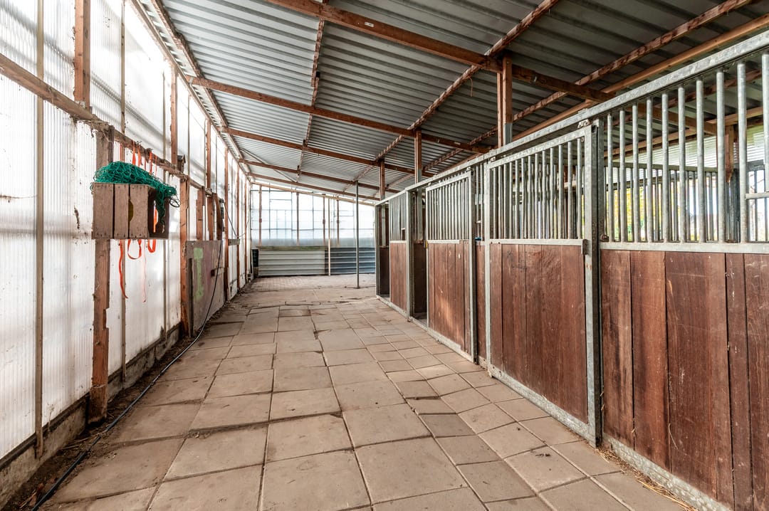 Photo 53 of Linnaeusweg 9