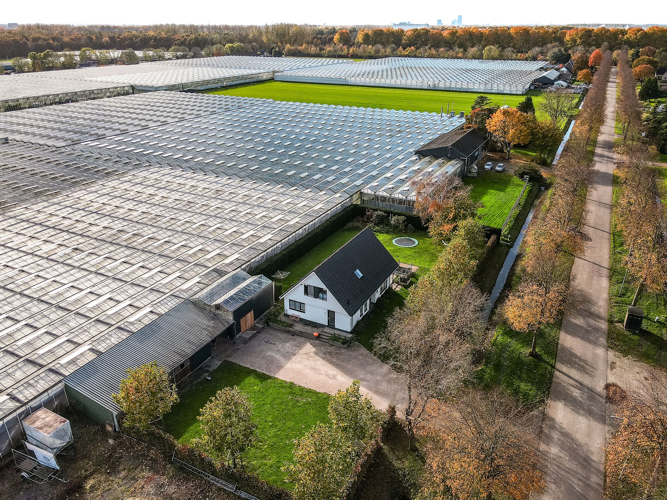 Photo 60 of Linnaeusweg 9