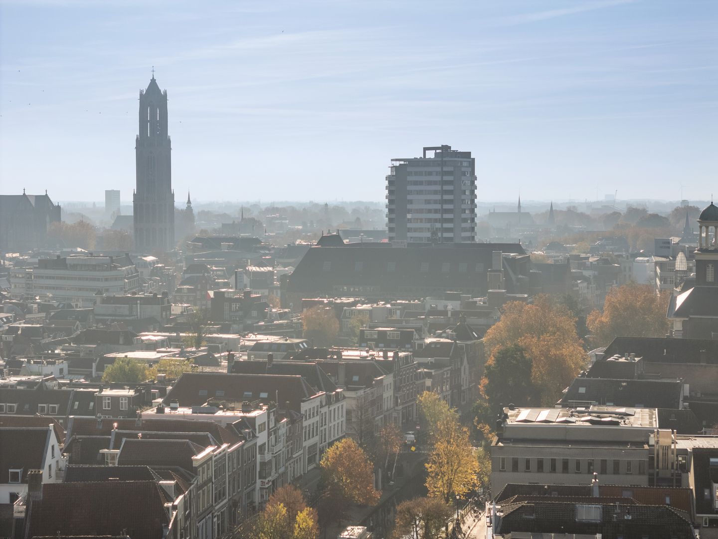 Photo 35 of Oranjehof 42