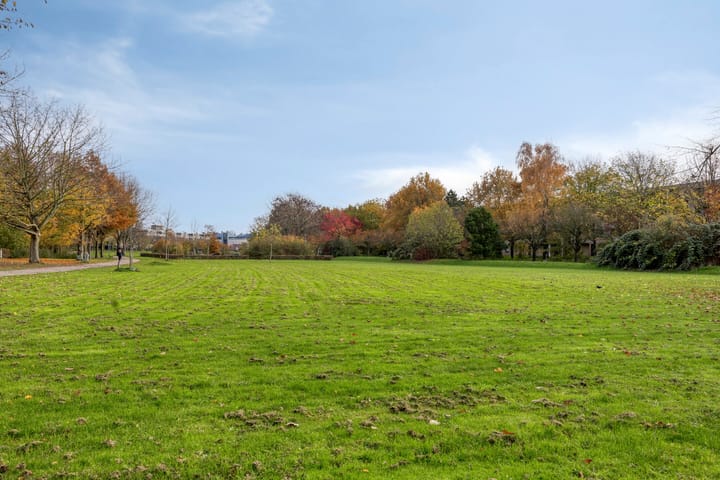 Foto 29 van Paukenstraat 66