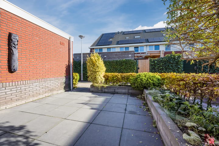 Photo 35 of Klaproos 72