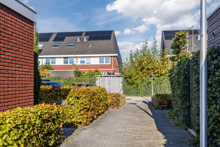 Photo 38 of Klaproos 72