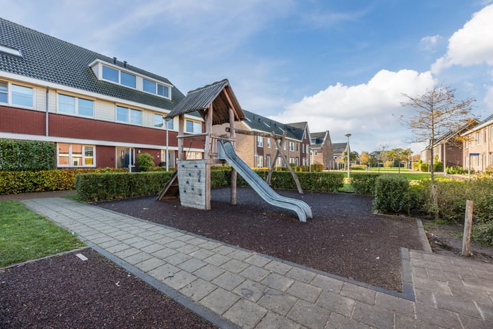 Photo 39 of Klaproos 72