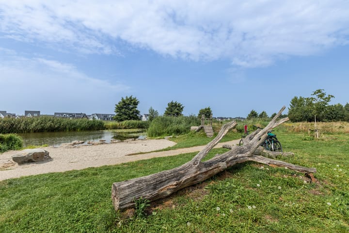 Photo 42 of Klaproos 72