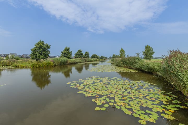 Photo 45 of Klaproos 72