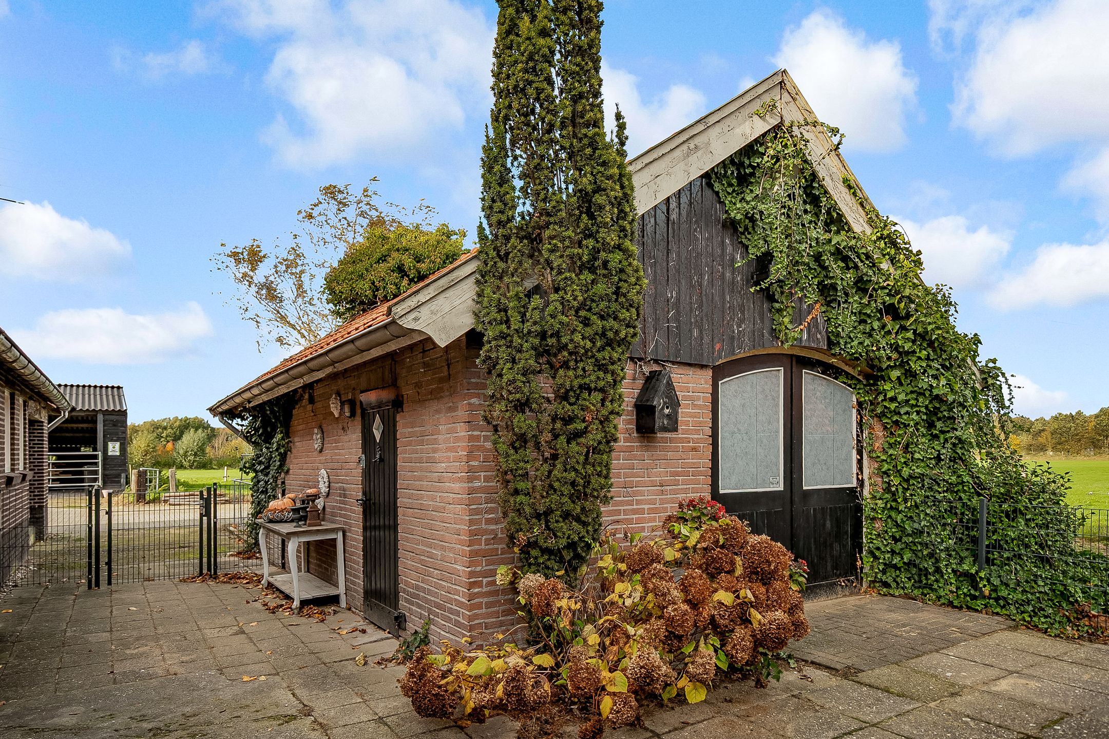 Foto 57 van Rietmolenseweg 3