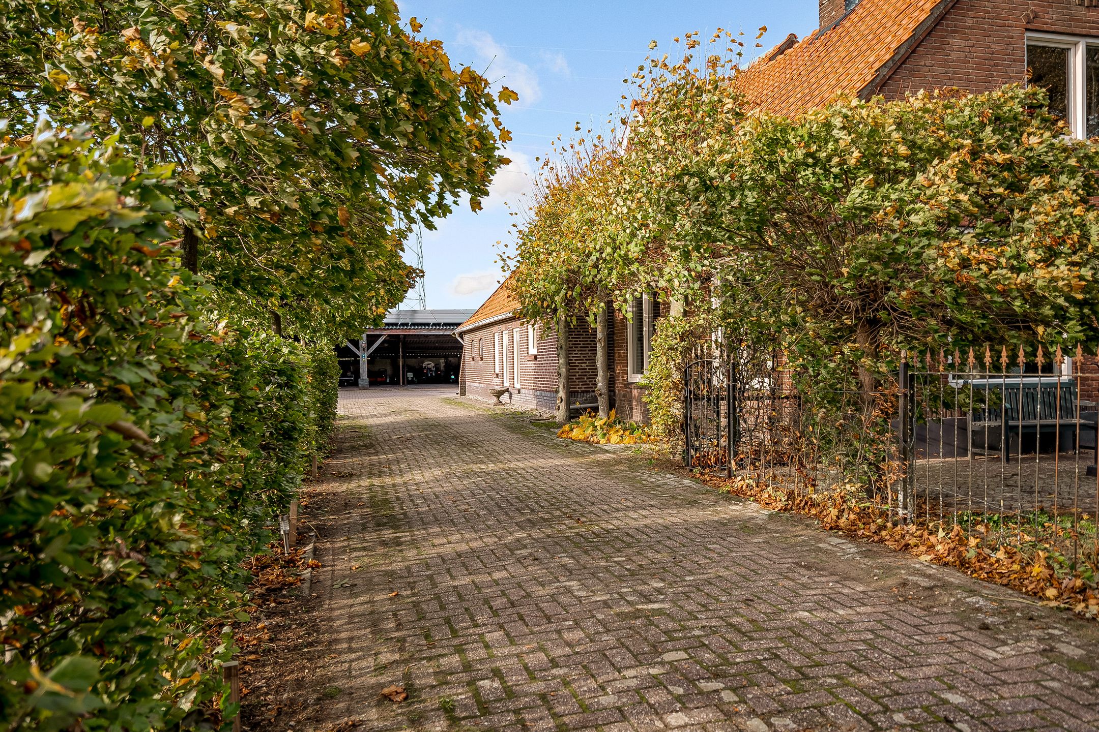 Foto 72 van Rietmolenseweg 3