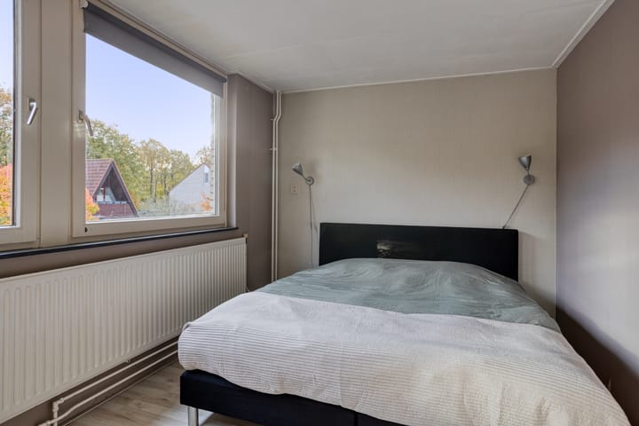 Foto 19 van Rode Beuk 58