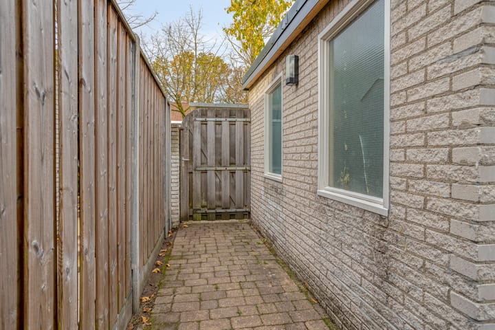 Foto 31 van Rode Beuk 58