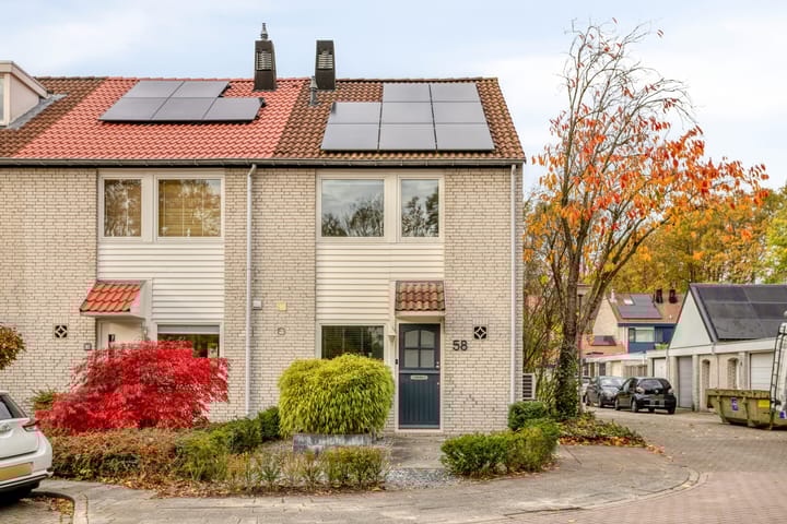 Foto 35 van Rode Beuk 58