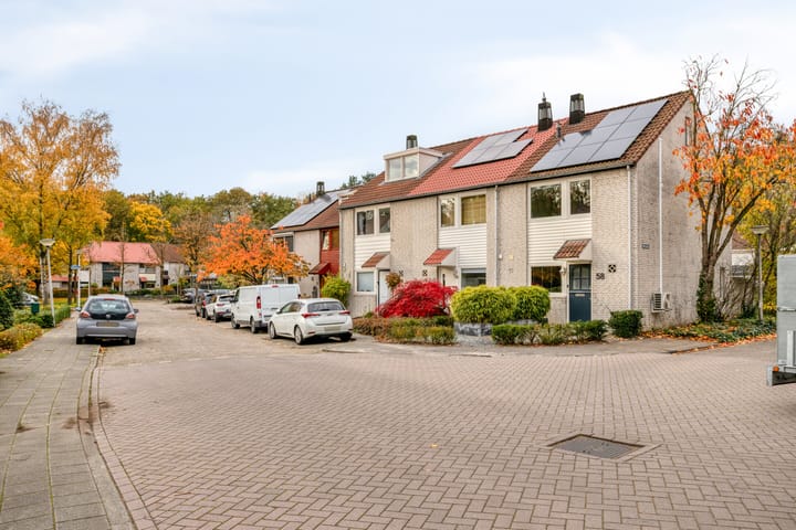 Foto 36 van Rode Beuk 58