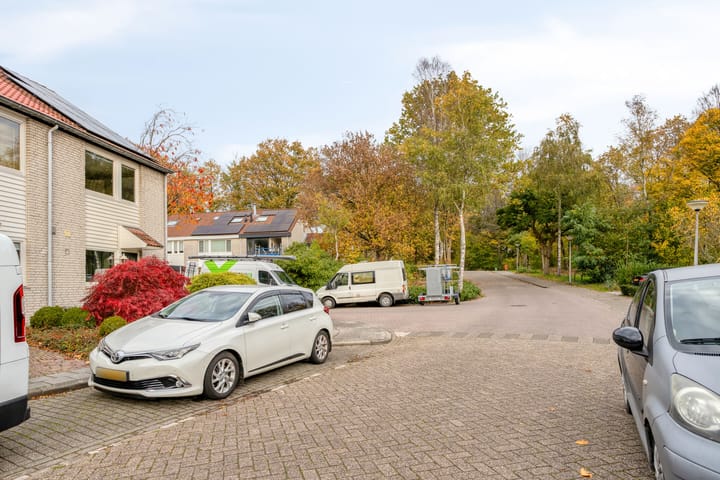 Foto 37 van Rode Beuk 58