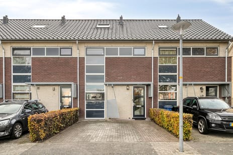 Kick Wilstraplantsoen thumbnail