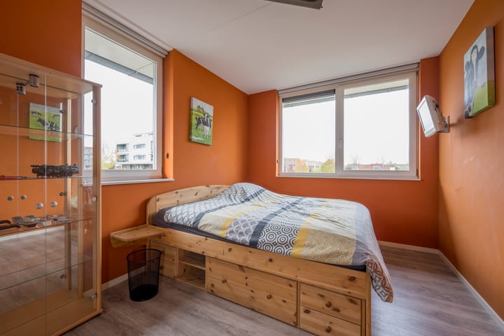 Foto 16 van Dwergblauwtje 16