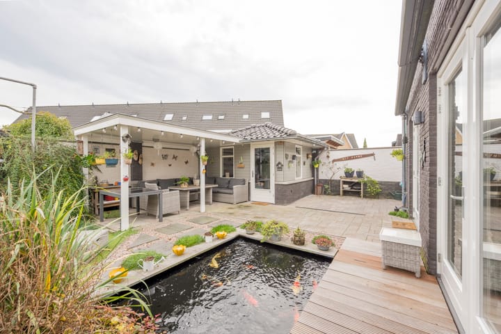 Foto 29 van Dwergblauwtje 16