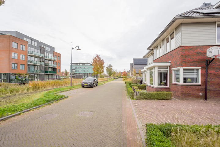 Foto 35 van Dwergblauwtje 16