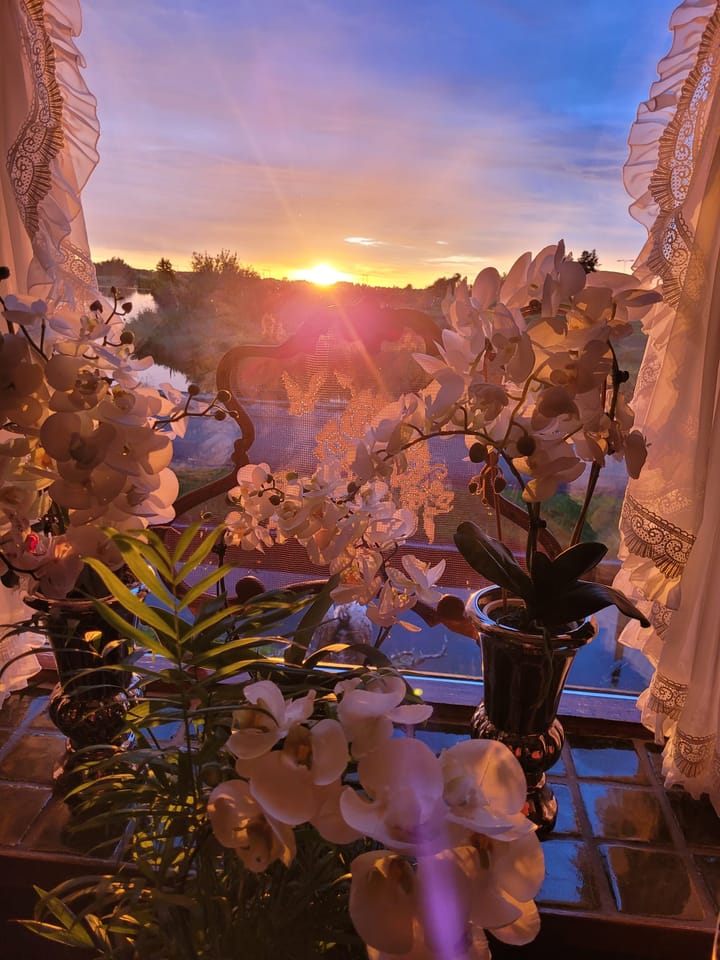 Foto 38 van De Haal 90