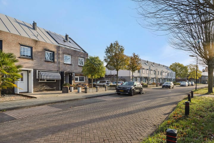 Foto 31 van Valeriaan 28