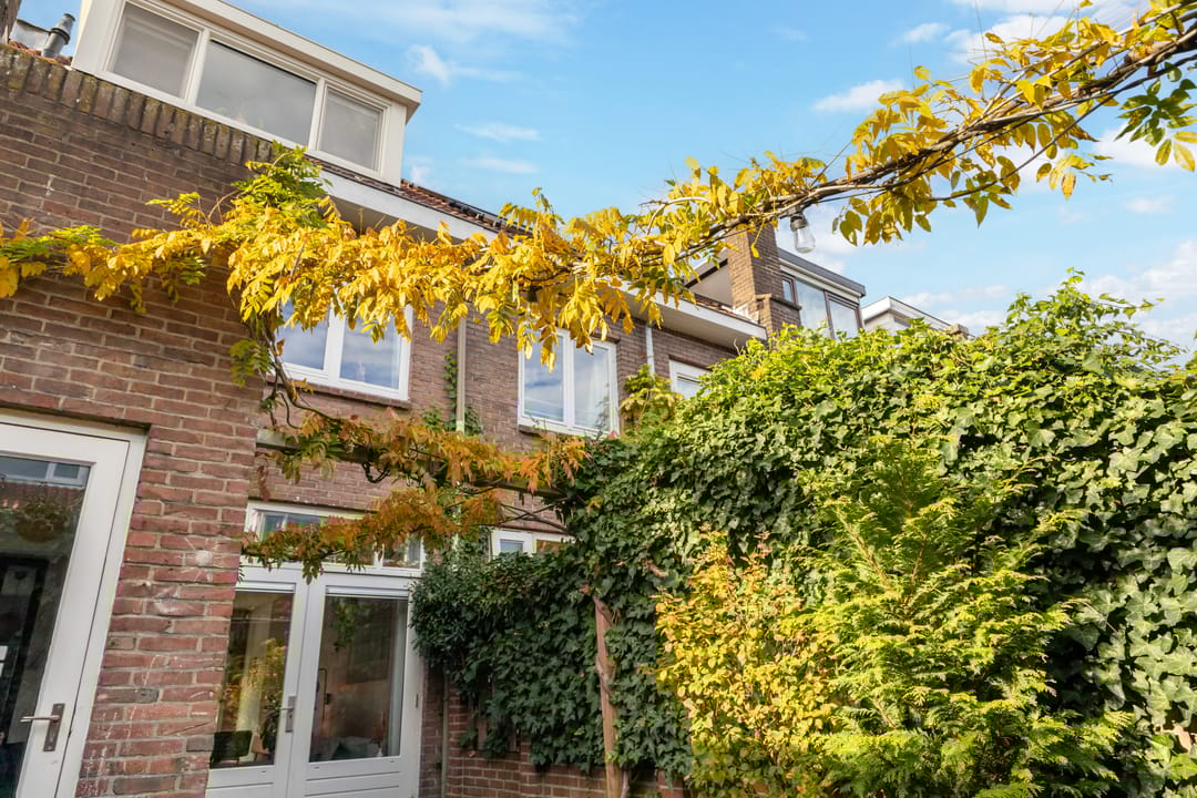 Foto 47 van Adriaan van Bergenstraat 31