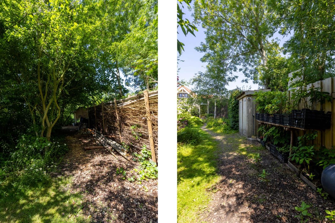 Foto 13 van Hege Buorren 21