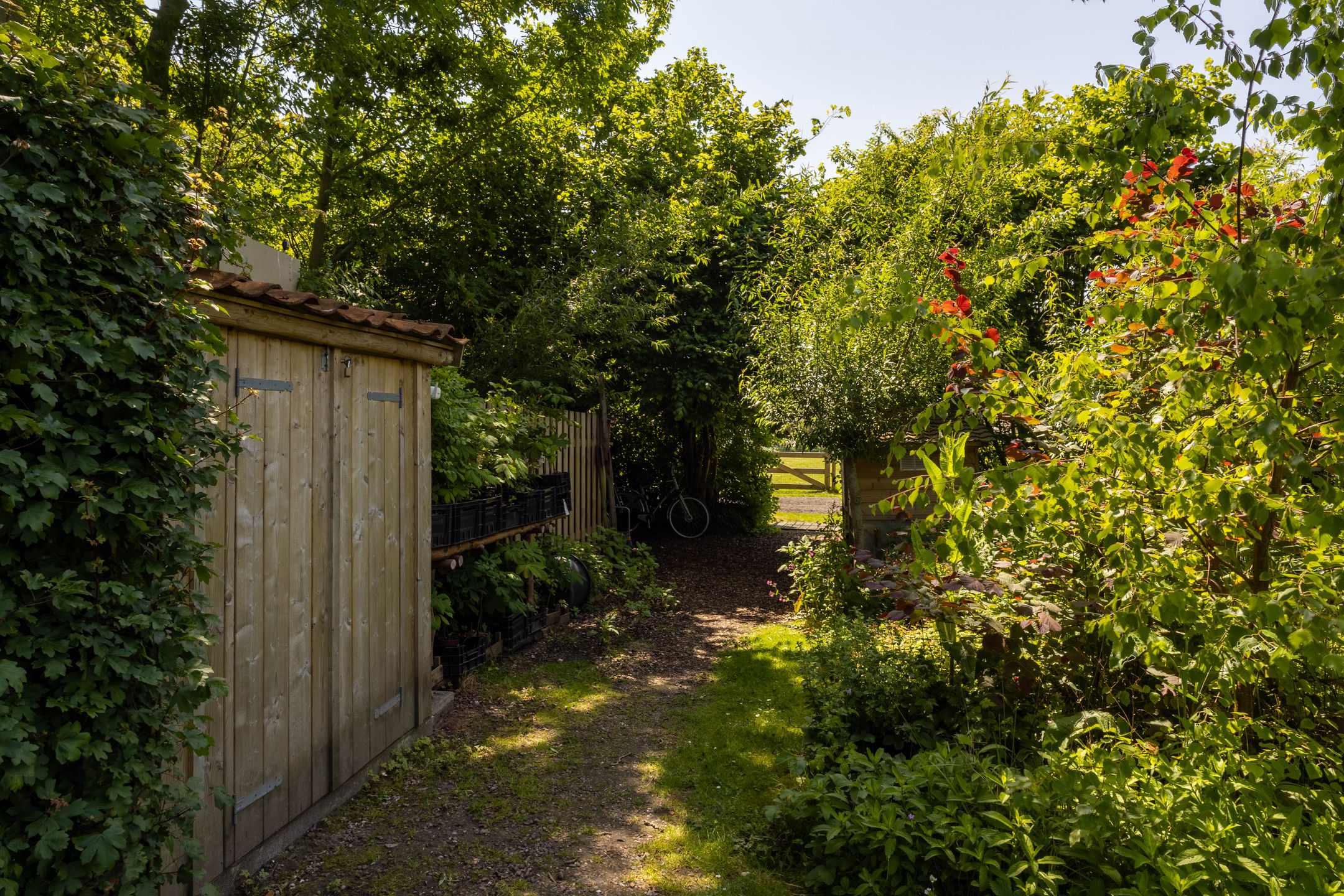 Foto 12 van Hege Buorren 21