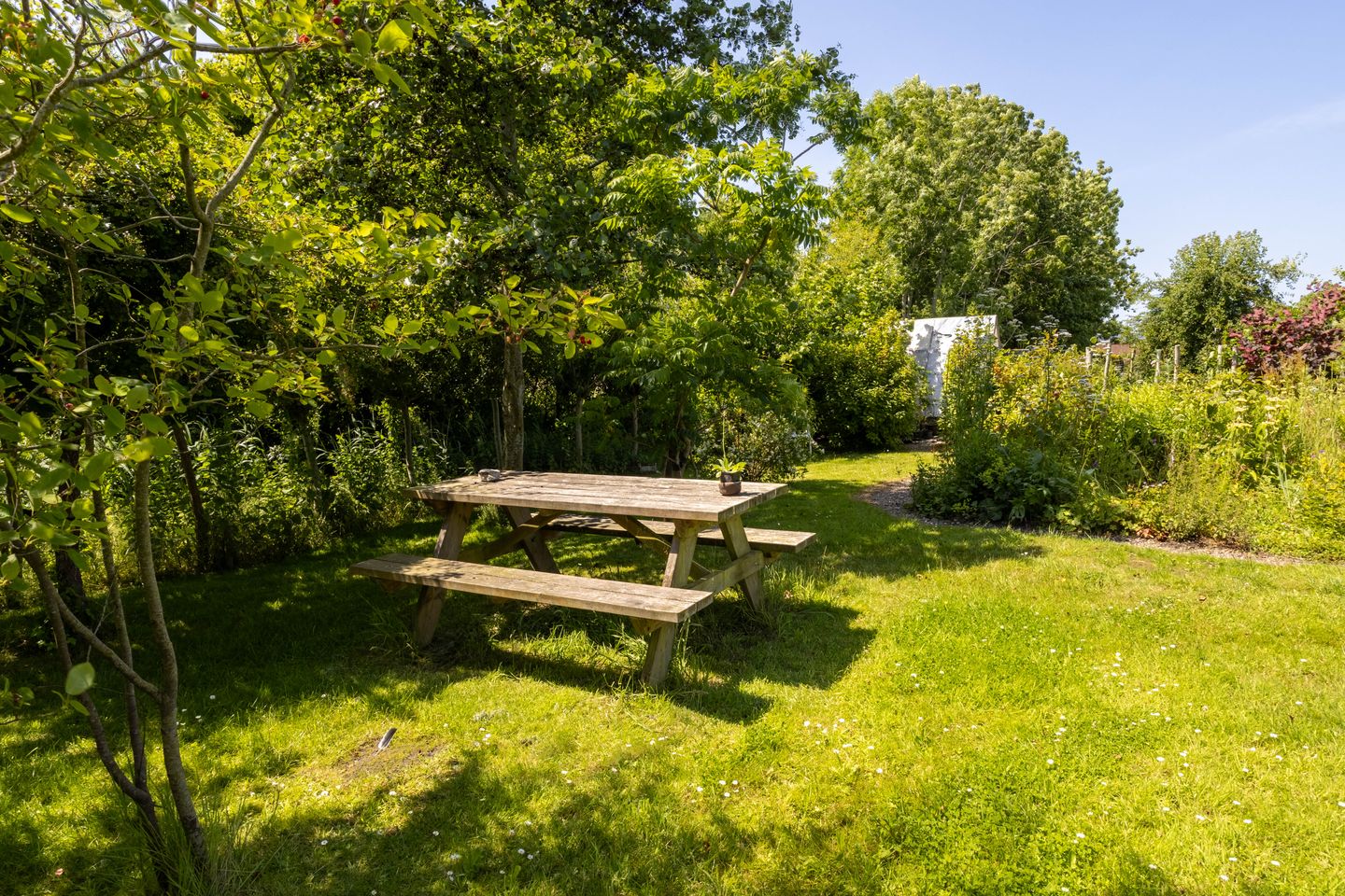 Foto 14 van Hege Buorren 21