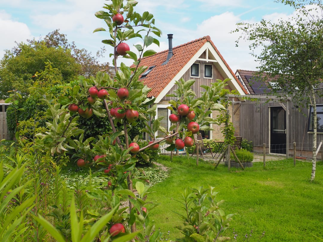 Foto 17 van Hege Buorren 21