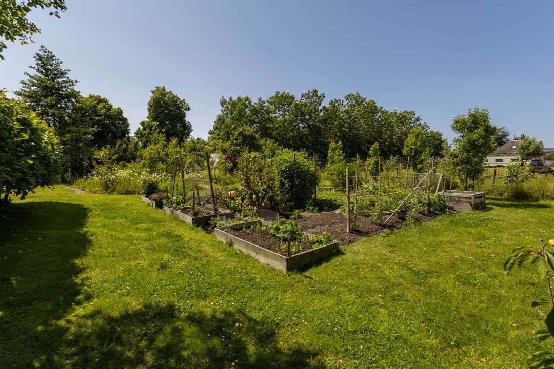 Foto 46 van Hege Buorren 21