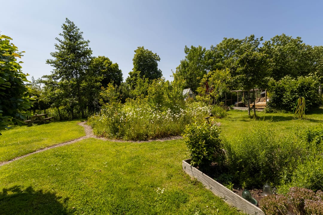 Foto 47 van Hege Buorren 21