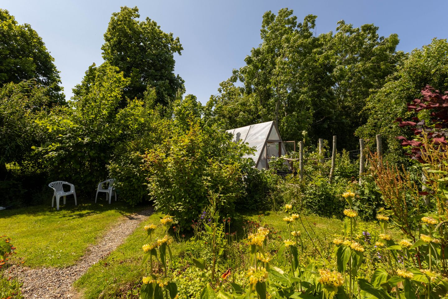 Foto 49 van Hege Buorren 21