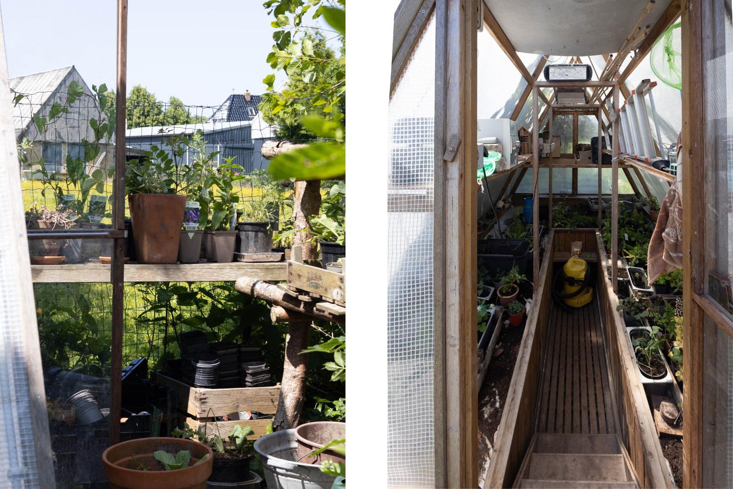 Foto 50 van Hege Buorren 21