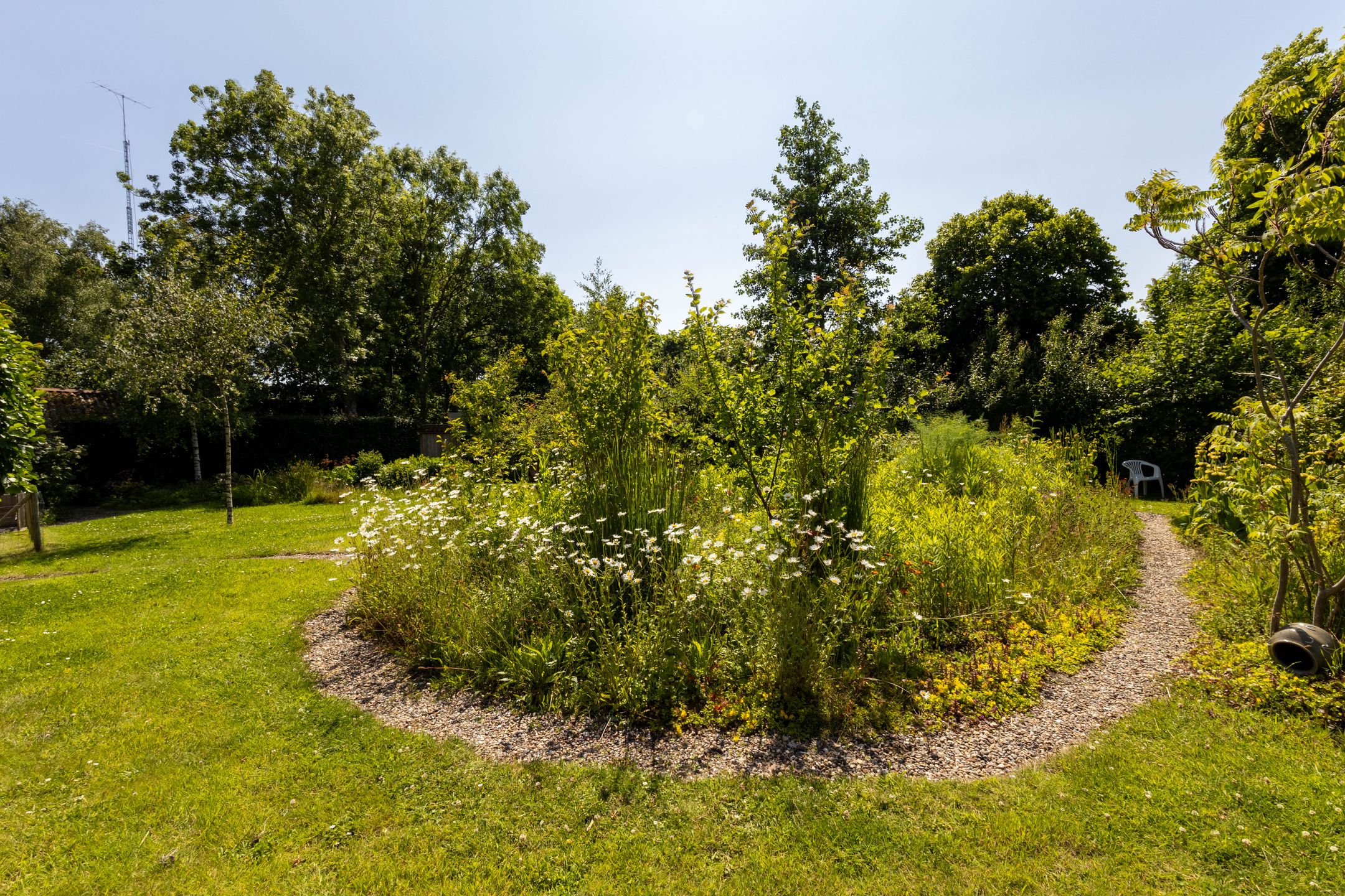 Foto 51 van Hege Buorren 21