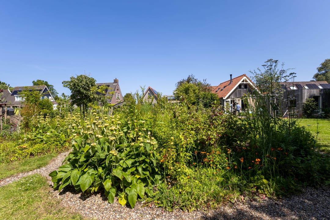 Foto 52 van Hege Buorren 21