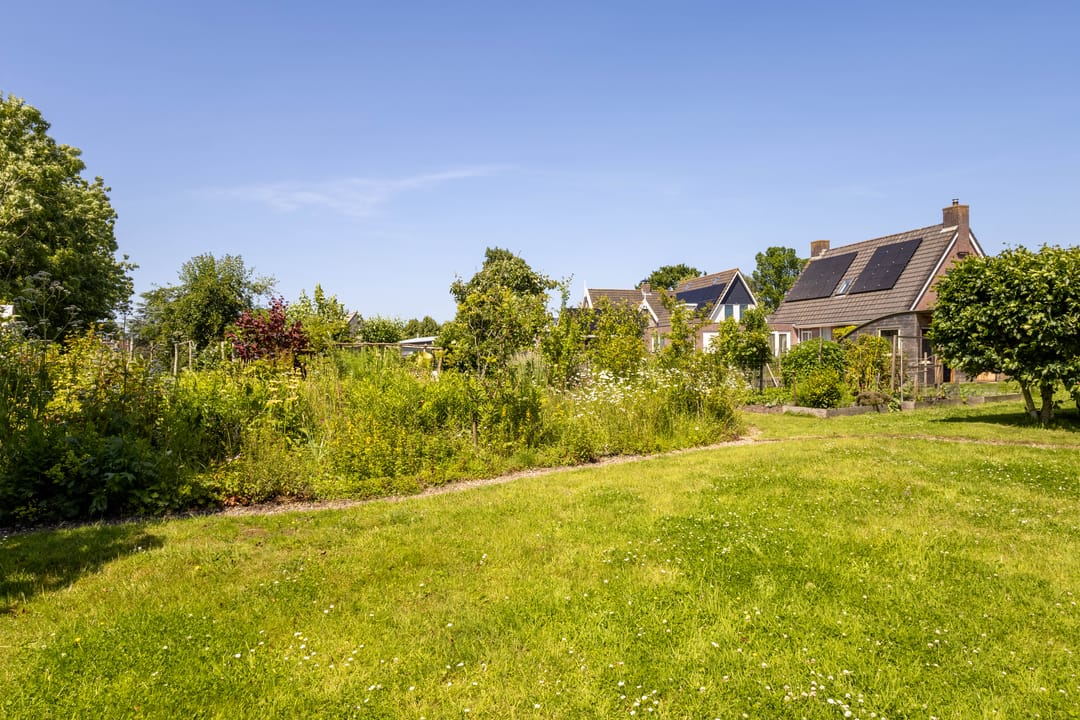 Foto 53 van Hege Buorren 21